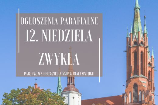 12. Niedziela Zwykła, 22.06.2025 r.