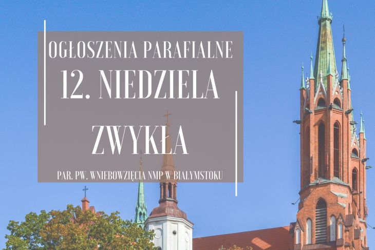 12. Niedziela Zwykła, 22.06.2025 r.